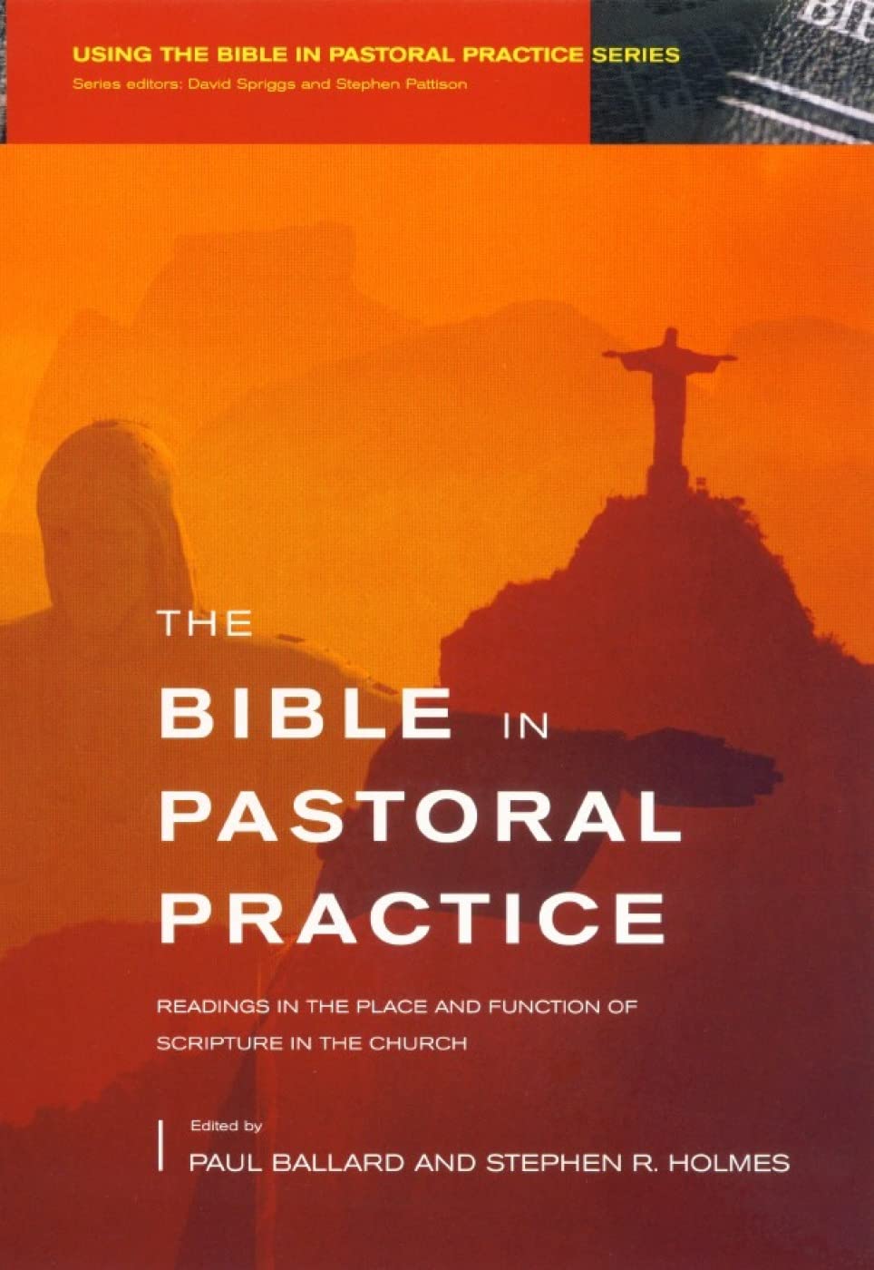 The Bible in Pastoral Practice: Readings in the Place and Function of Scripture in the Church (Using the Bible in Pastoral Practice)