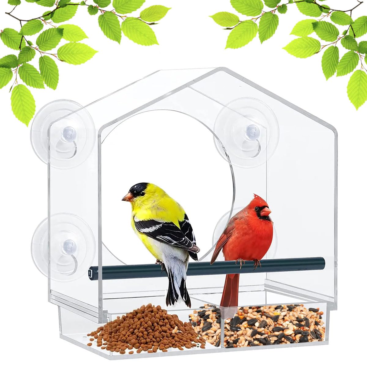 Navaris Fenster-Vogelhaus Aus Acryl – Mit 2 Fächern & Saugnäpfen | 30 X 13 X 10 Cm, Transparent