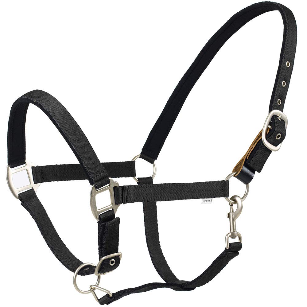 Centaur Solid Cushion Padded Breakaway Halter