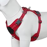 Plutus Pet No Pull Dog Harness, Release at Neck, Soft Padded, Reflective Adjustable Dog Vest Harness for Small, Medium, Large Dogs(Hot Pink, S)