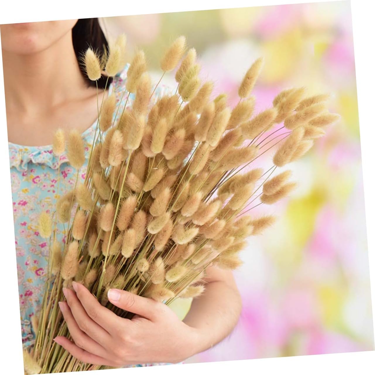 Levemolo 50pcs Dried Grass Pennisetum Rabbit Tail Bunny Tail Decorative Dried Flowers Pastoral Decor