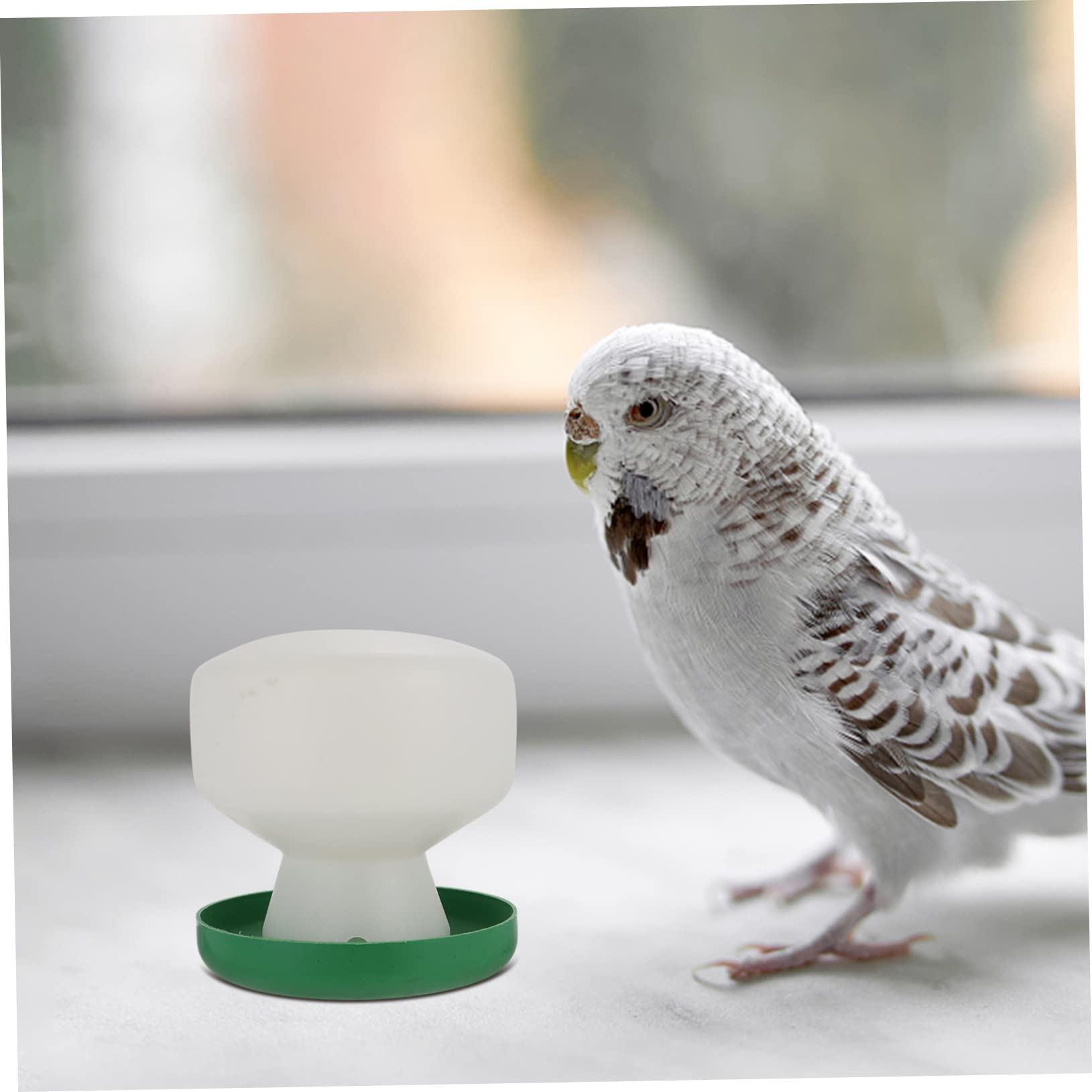 Housoutil 6 Pièces Abreuvoir À Pigeons Cage À Oiseaux Distributeur d'eau Outils d'alimentation De Perruches Fournitures pour Animaux De Compagnie Accessoires pour Oiseaux Calopsittes