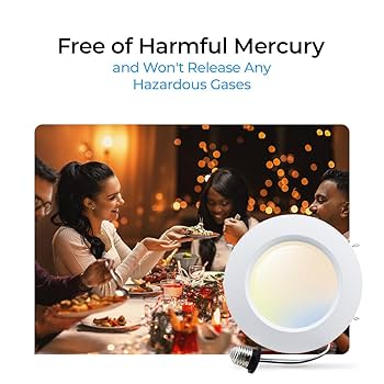 Bluex Bulbs 4 Pack 5/6 Inch LED Disk Lights 5CCT Dimmable