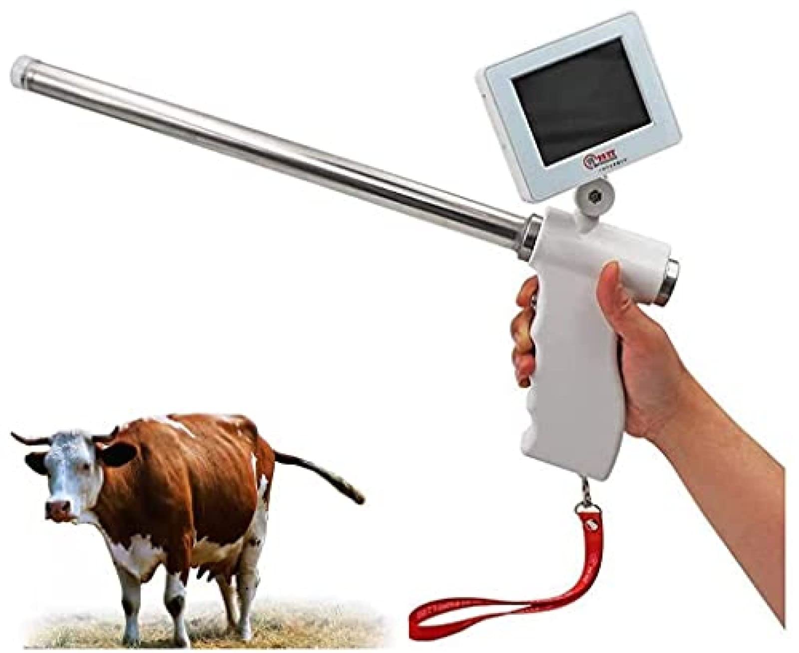 Buy TIANZIO Cow Artificial Insemination Device Visual Endo Sperm Dairy