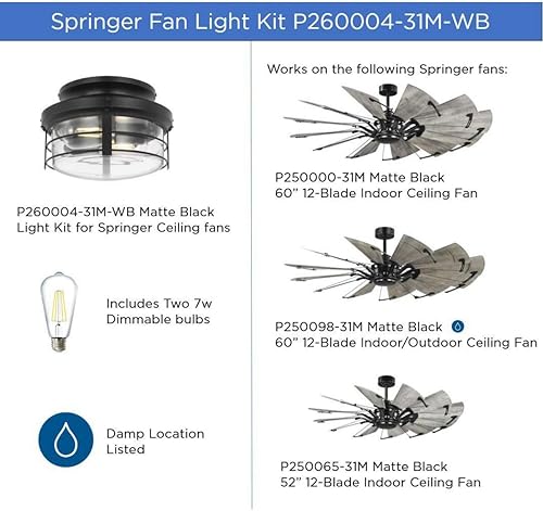 Miniatura 5 de Progress Lighting P260004-31M-WB Kit de luces Springer II, color negro