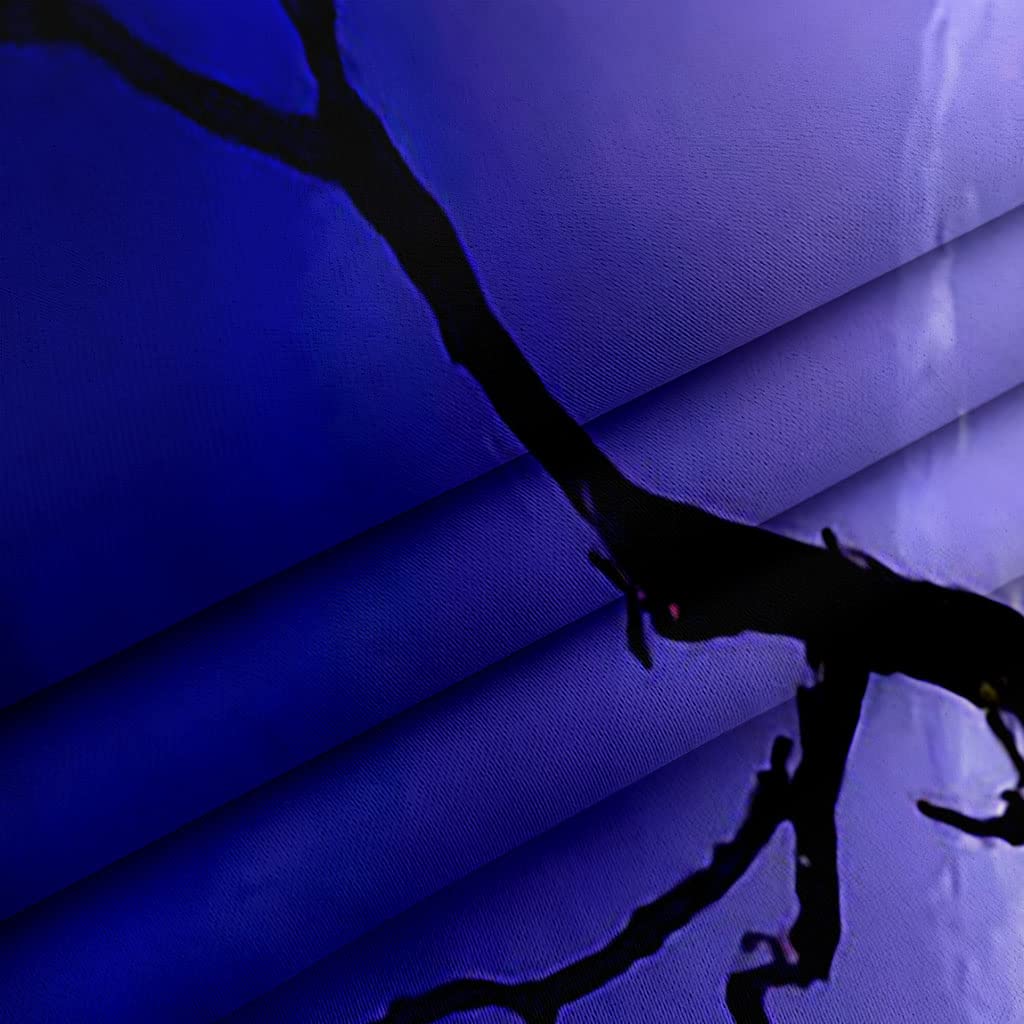 Cortinas Opacas para Salon Moderno - Cortinas Termicas Aislantes con Ollaos - Dormitorio Cocina Decoracion - 3D Ángel De La Luna, 2 Piezas 280 X 260 Cm（An X Al）