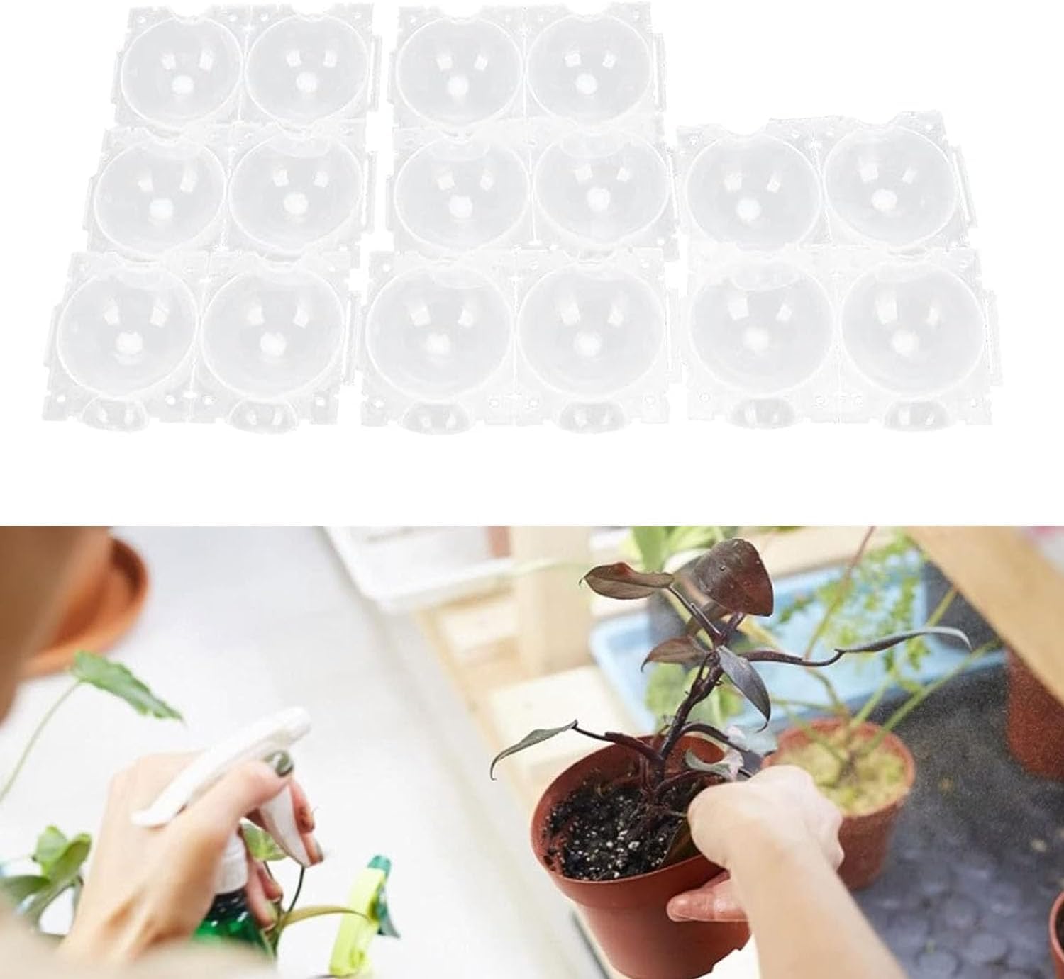 Pvieked 8Pcs Plant Rooting Grow Propagation Ball, Clear Assisted Cutting Rooting, Ssisted Cutting High-Pressure Propagation Ball, Reusable Air Rooting Ball Root Grafting Device