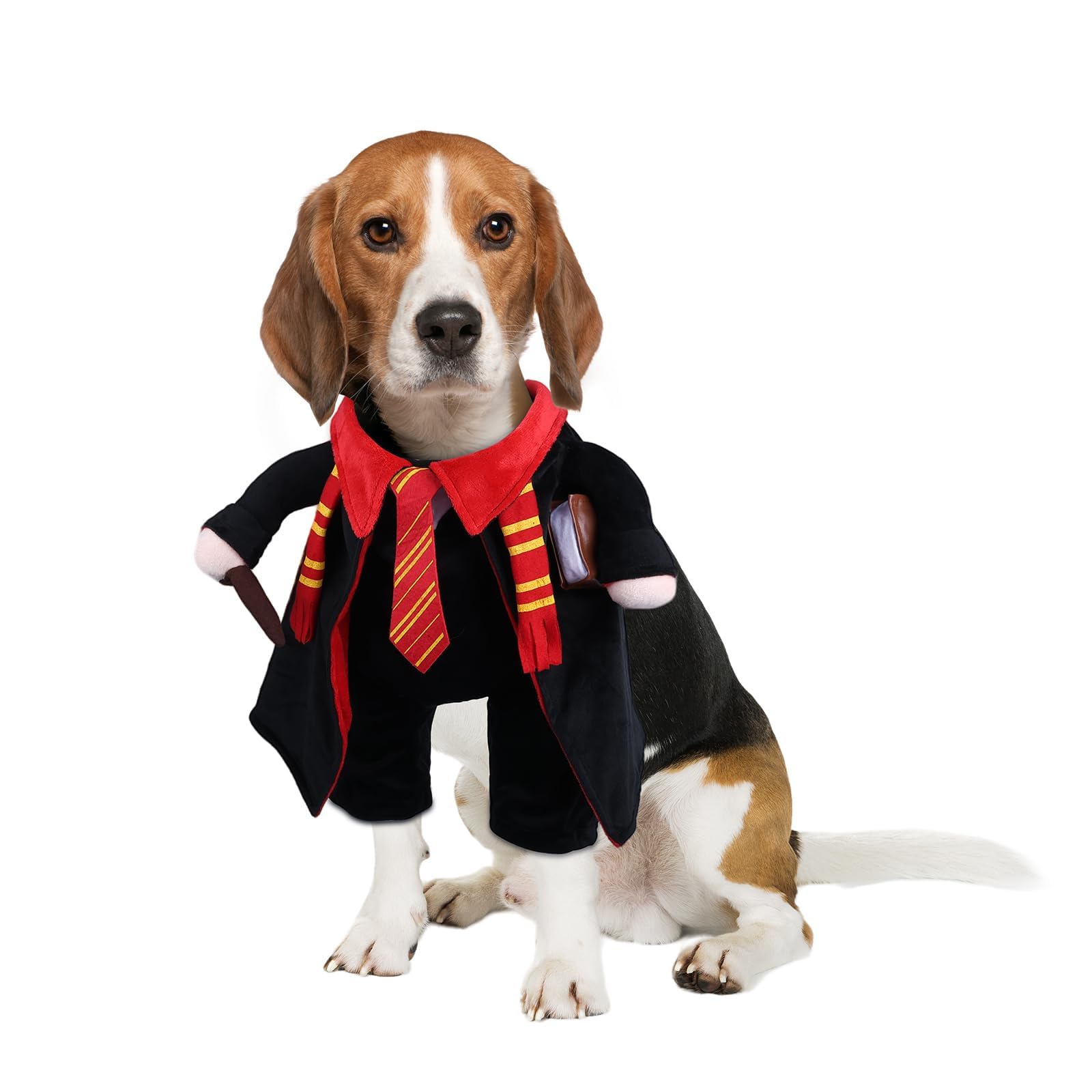 Costume de sorcier d'Halloween pour chien réglable qui reste bien en place