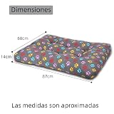 Ver la foto 6