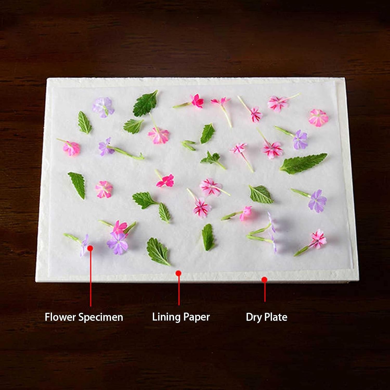 押し花 植物標本 本 プレス機 プレスボード 乾燥 シート マット キット 各種パーツ 押し花 植物標本 本 プレス機 プレスボード 乾燥 シート マット キット 各種パーツ