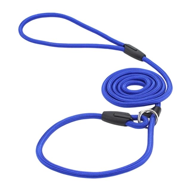 Foto 3 de 8 de Correa para mascotas AntiPull con diseño de seguridad NoPull para perros pequeños y grandes