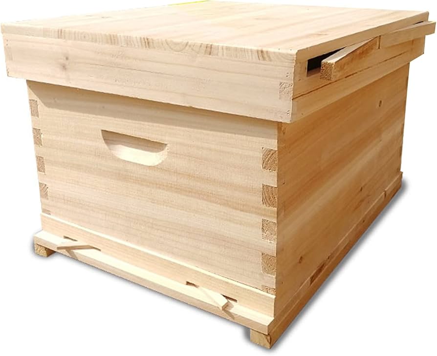 Amazon.co.jp: 養蜂 巣箱 ミツバチ 巣箱 蜜蜂巣箱 蜂蜜蜂の巣箱 巣箱