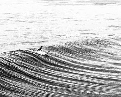 Surf Art, Beach Decor, Surf Decor - Black and White Fine Art Photography Print