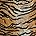 Tiger Print