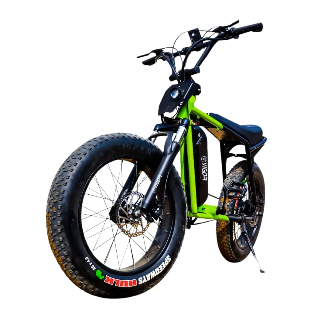VigorEBike VX Urban Electric Cycle Youth Series Electric Cycle |FAT Tyre Cycle 20.0” With Front Suspension|Dual Disc Cut-Off Brakes|Fast Charging| Up To 60 KM Range on Pass (Neon Green, Orange, Black) (B0CRDN6H3X) Amazon Price History, Amazon Price Tracker