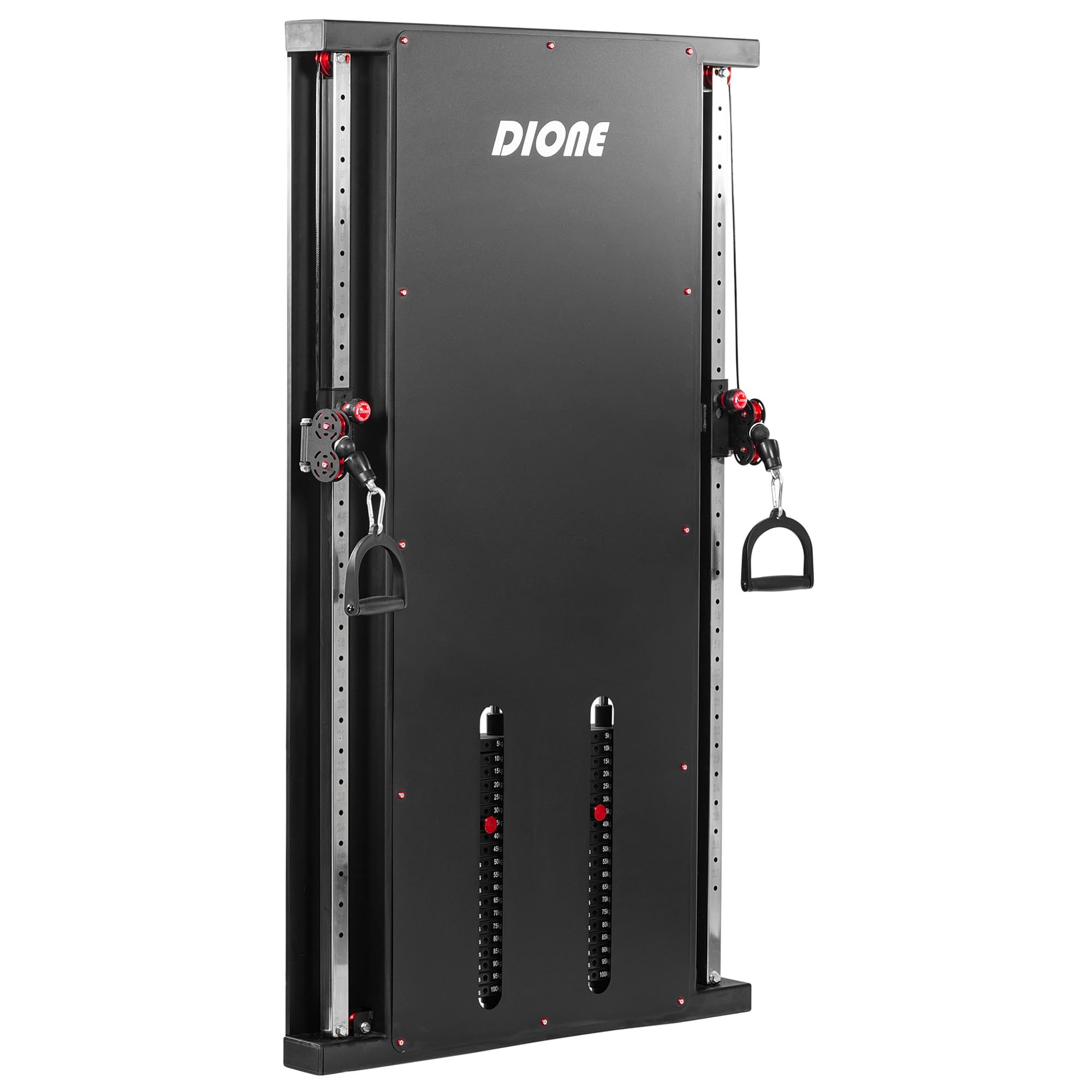 DIONE Cable Crossover 2 x 100KG Metallgewichte - Wandmontage - Kompakt 120 cm x 12 cm x 198 cm - Kabelzugstation - Kraftstation - Homegym