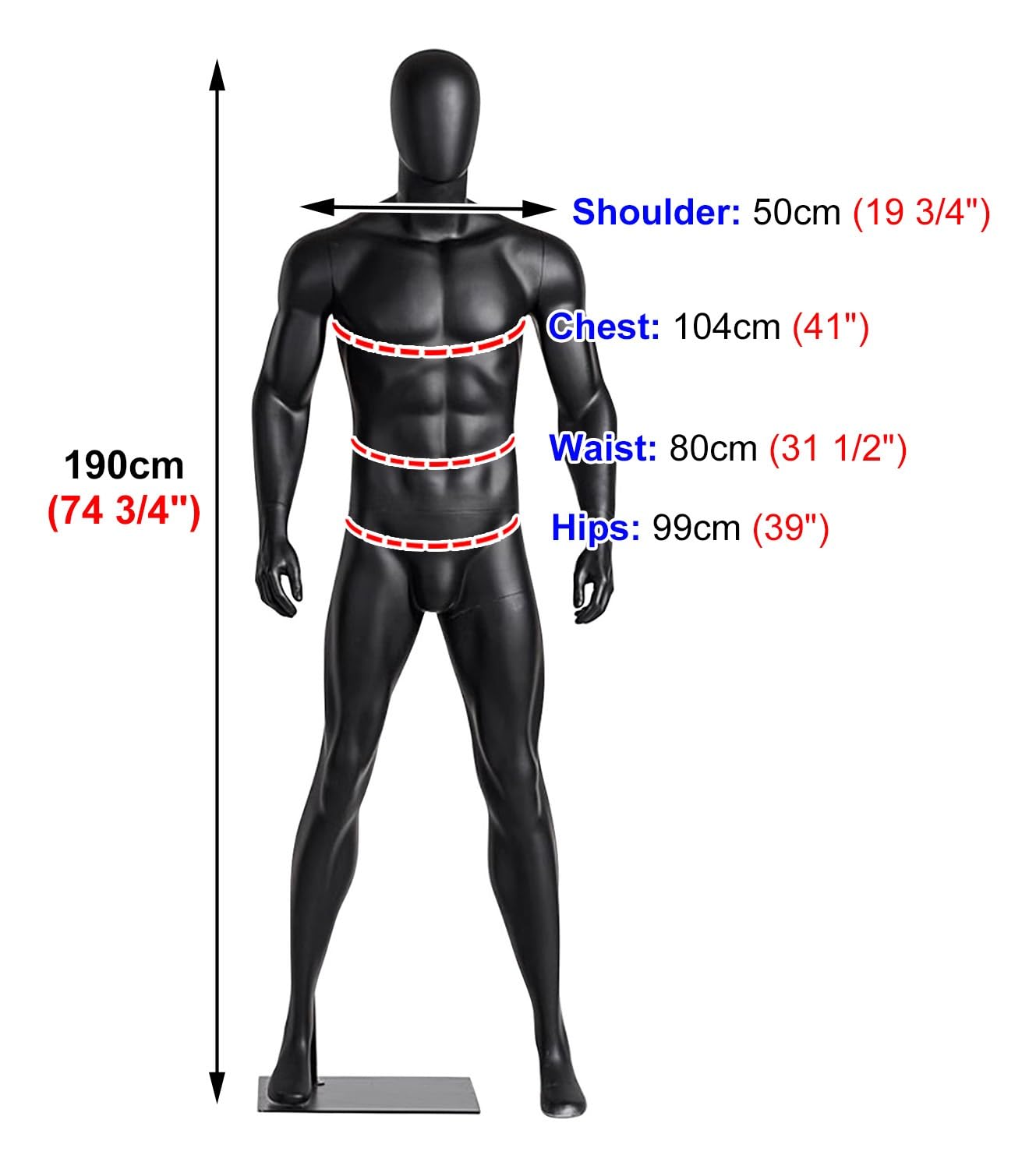 Amazon.co.jp: マネキン 筋肉男のマネキン ダミー ディスプレイ