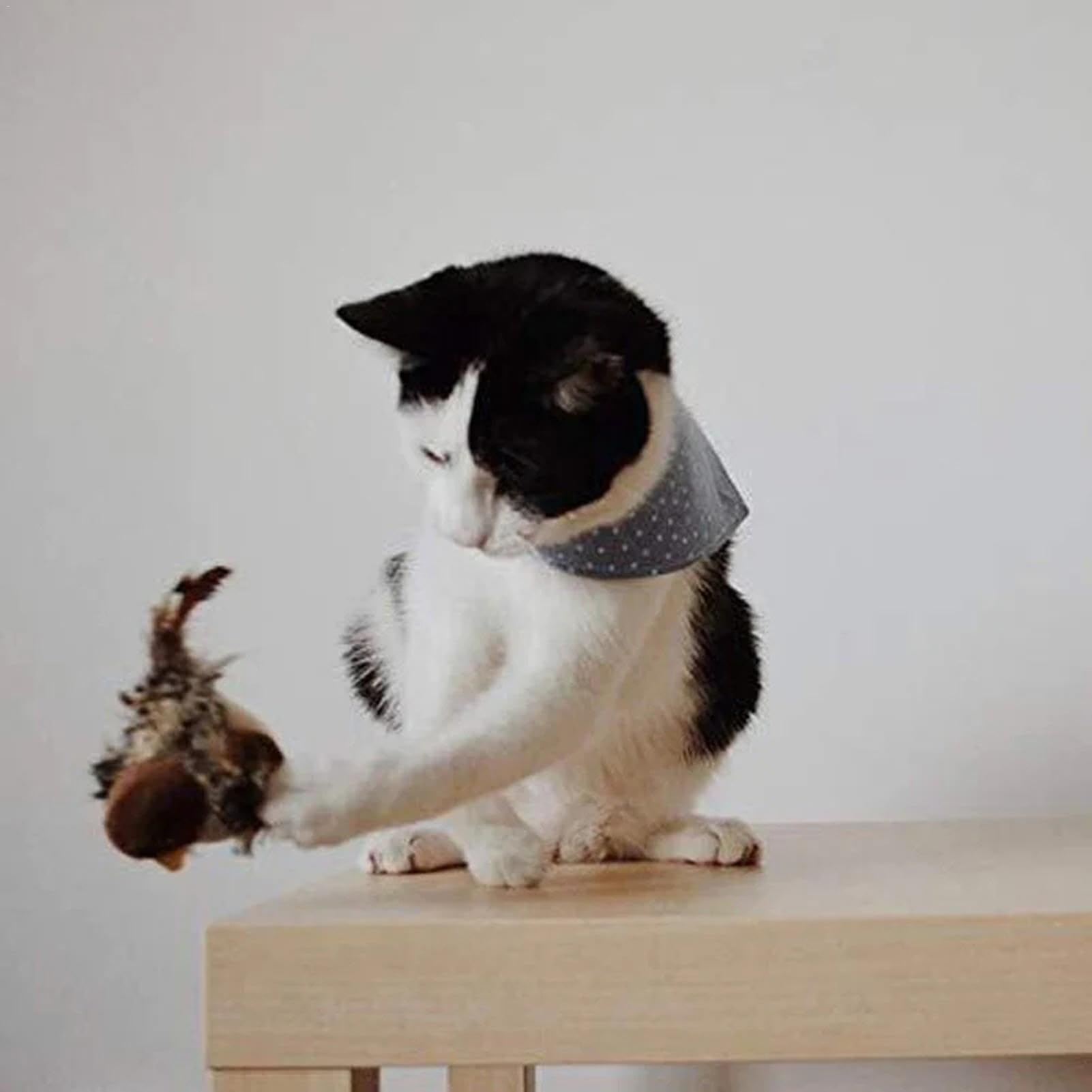 Juguete Interactivo Para Gatos Con Pájaro De Peluche Que Hace Sonidos - Perfecto Para Entretener A Tu Mascota
