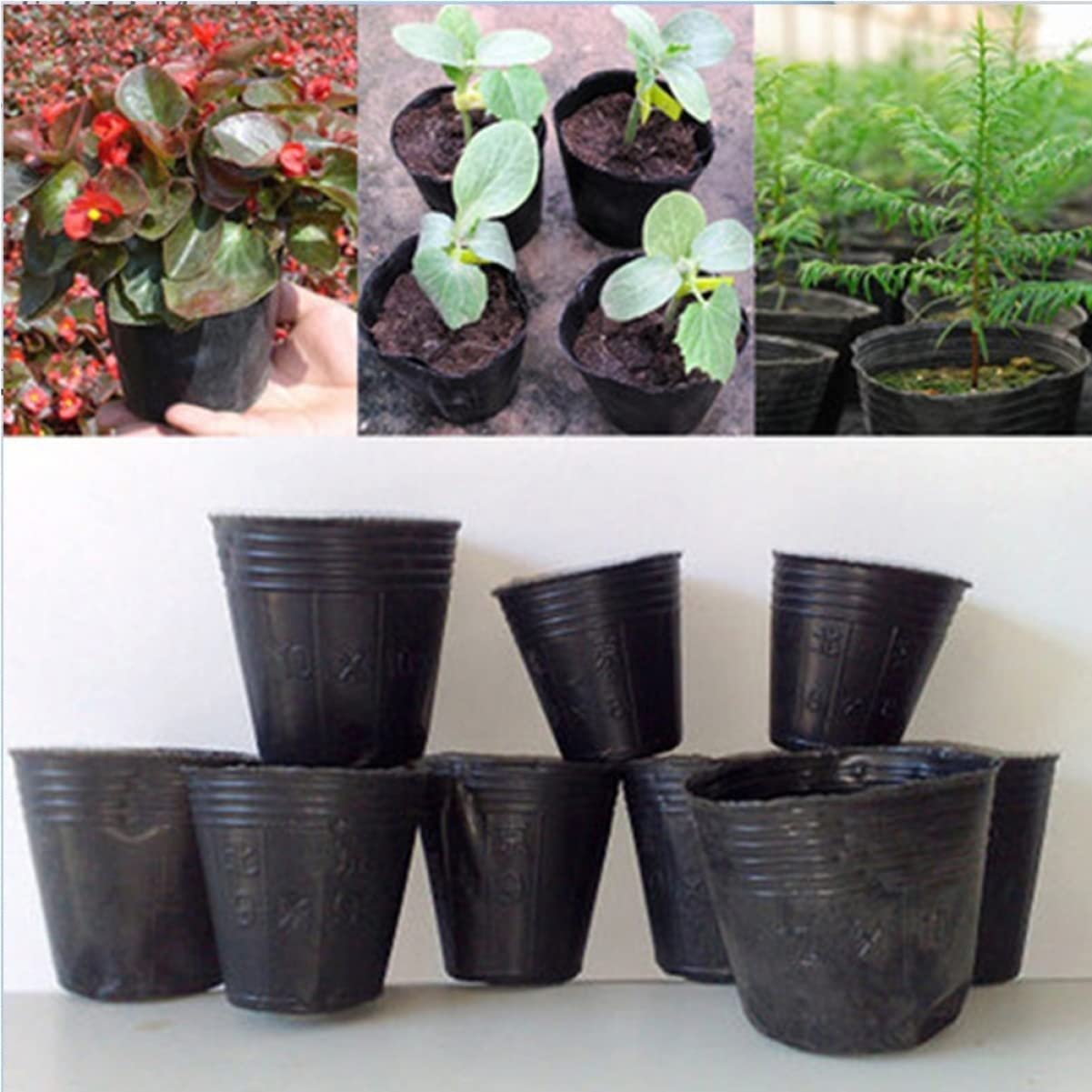 Jardin Fruits Légumes Pots De Semis Plateaux De Semences Plateau De Rempotage, 100 Pcs Dégradable En Plastique Récipient De Stockage En Plastique Simple Pot De Pépinière Outil De Jardin Semis Pot Nutr