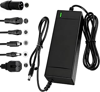 SGS Certified 54.6V 2A Fast Electric Bicycle Charger for 48V Ebike Battery