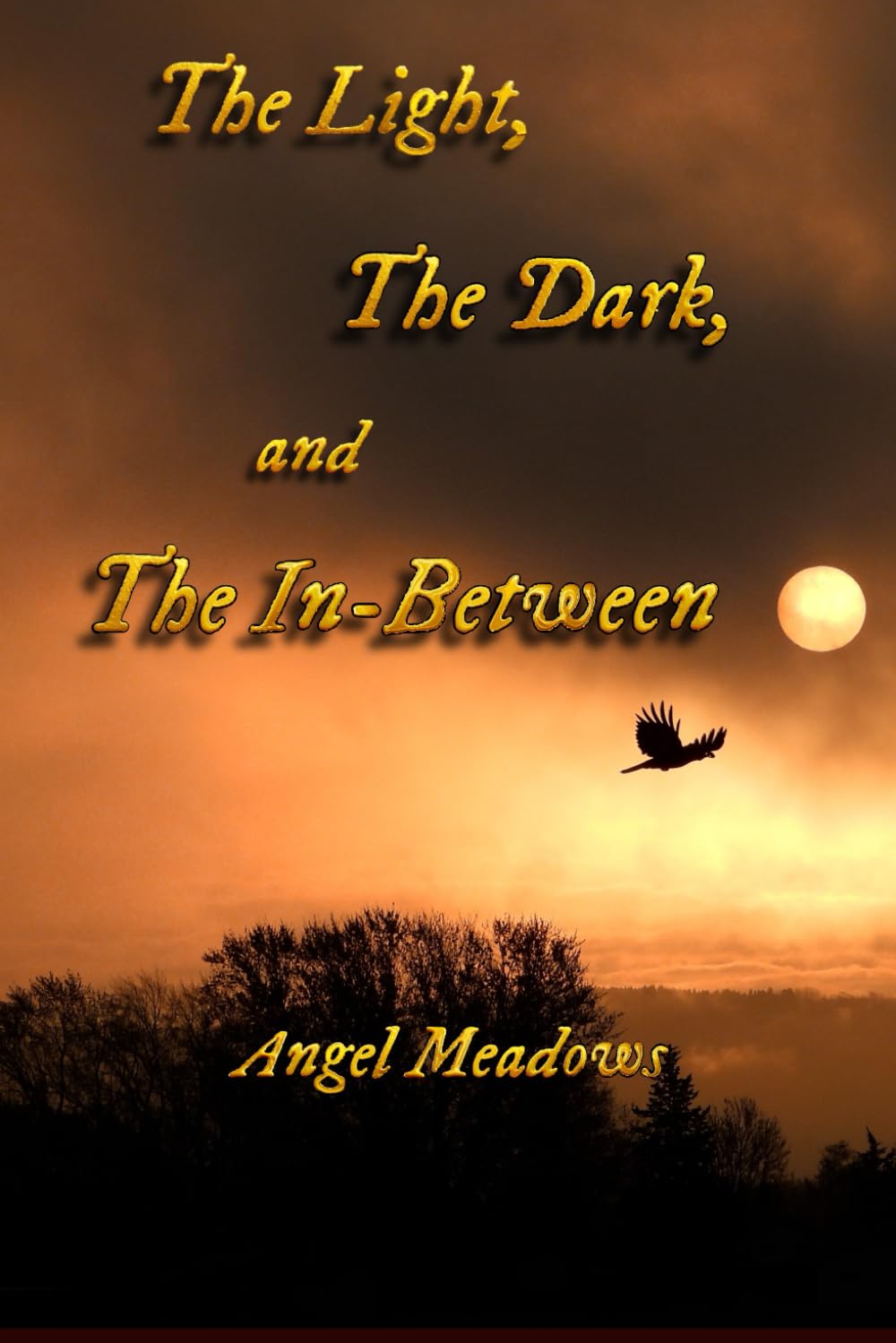 The Light, The Dark, and The In-Between