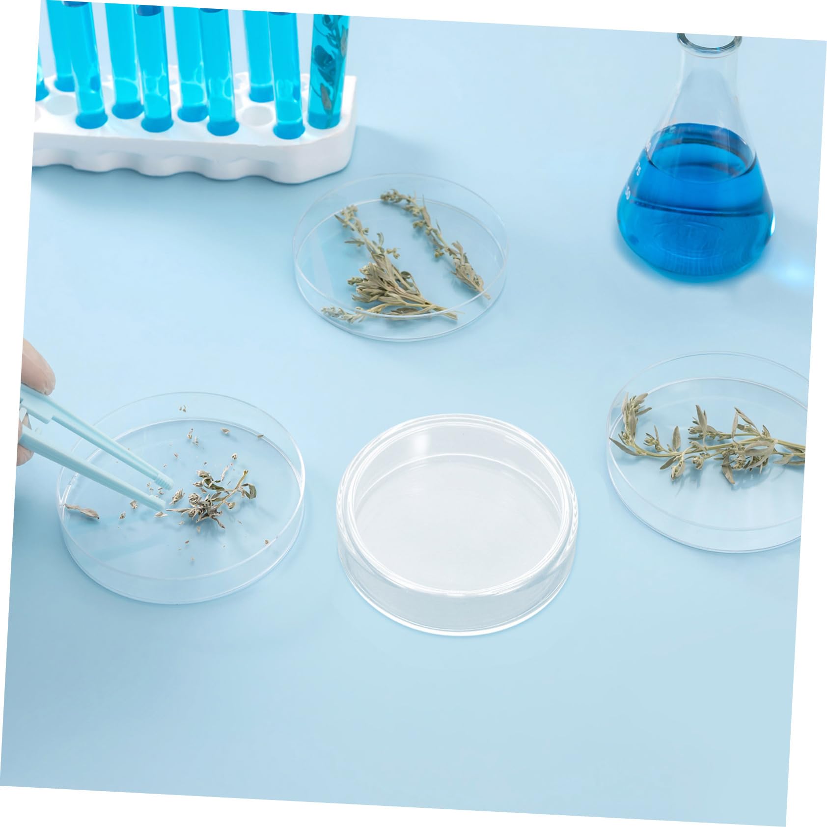 TOPBATHY di Piastre Petri in Vetro per Esperimenti di Laboratorio ad Alta Trasparenza 10 Pezzi da 90mm con Coperchi Riutilizzabili e Coltura