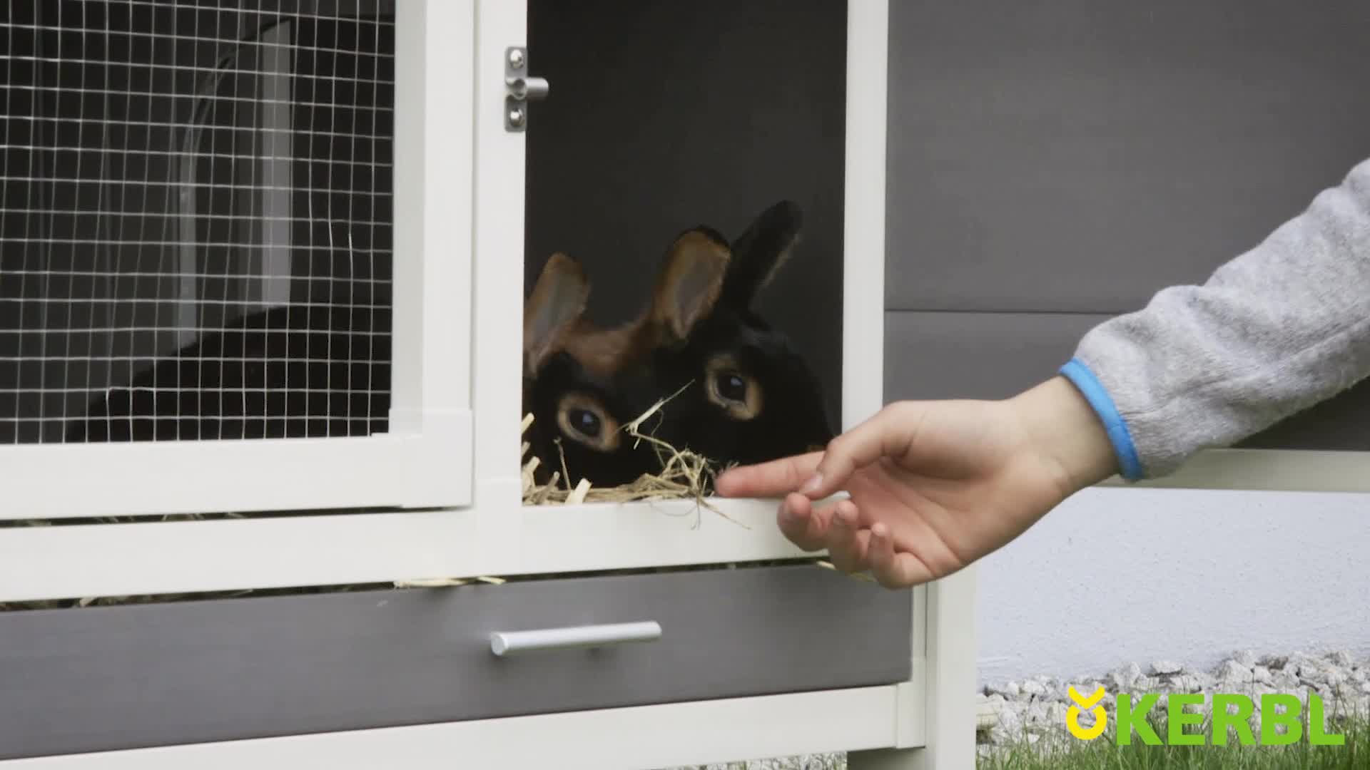 Kerbl 81730 ECO - Kunststoffstall Samy für Nager, Kunststoffwanne, WeiÃ/Grau, 1 Stück (1er Pack) – Bild 8