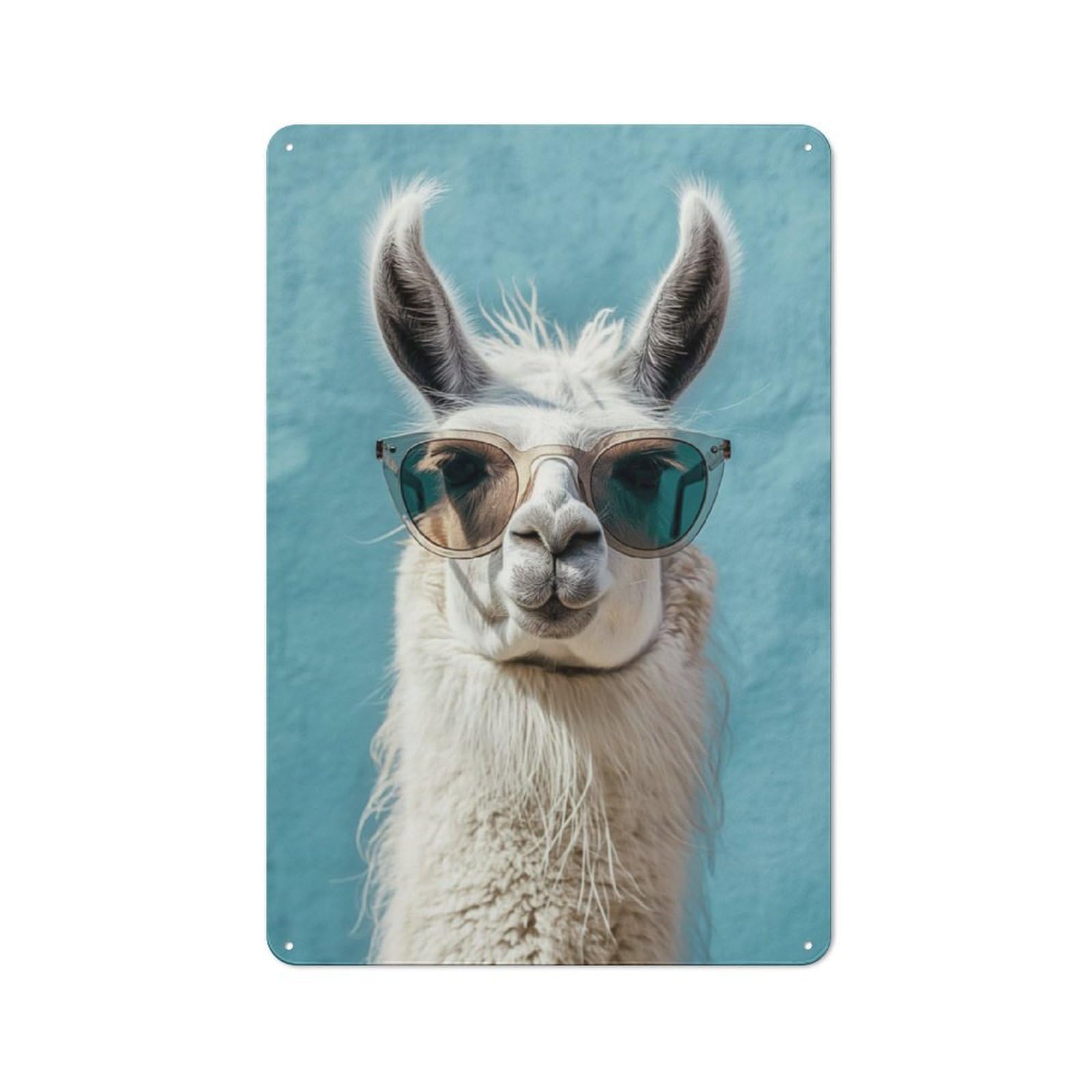 Modern Retro Cute Llama Art Metal Wall Art Sign 30x20cm, Studio Wall Art for Modern Home, Workshop, Office Or Cafe