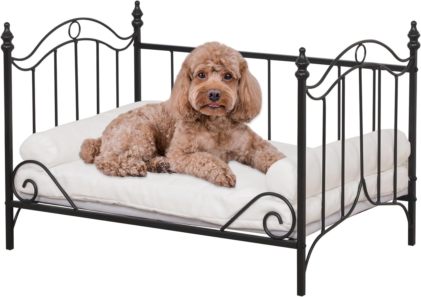 Pet Sofa Bed, Cat Bed,Dog Bed,Cat Couch,Pet Couch,Metal Frame and Detached Velvet Cushion，Cool Dog Couch for Small Cats &Dogs&Puppy Summer Using (Black)