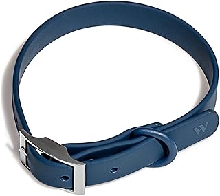Wild One Collar - Small - Blue