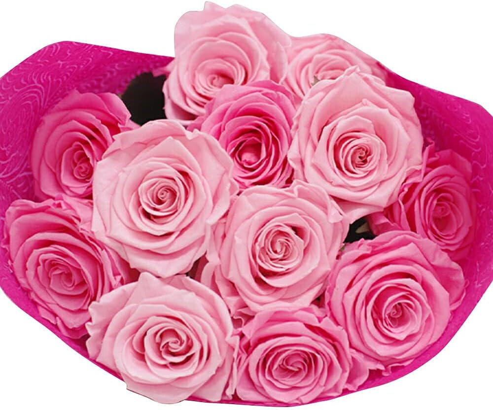 ドライフラワースワッグ❁364プロテア 花束 ブーケ 前撮り ギフト