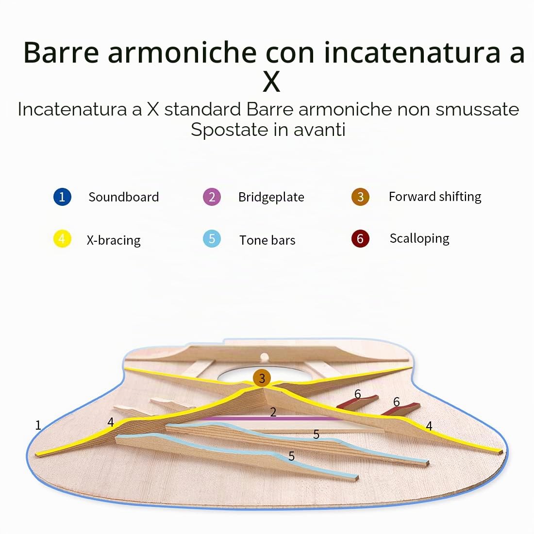 Rosen Chitarra Acustica 4/4 Top In Abete Massiccio 41 Pollici Guitarra Full Size con Finitura Lucida Starter Kit con Custodia Morbida, Accordatore, Corde, Tracolla e Plettri