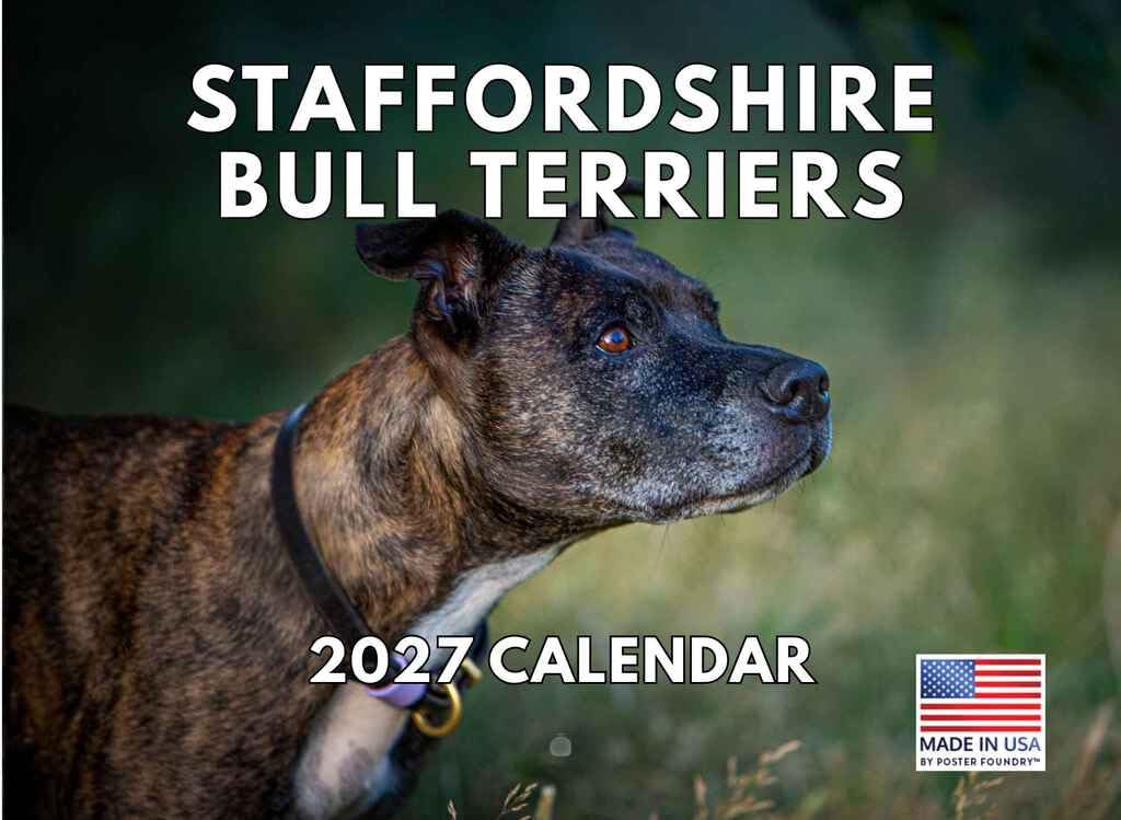 American Staffordshire Bull Terrier Calendar 2025 Monthly Wall Calender | American Made In The USA โ image 1