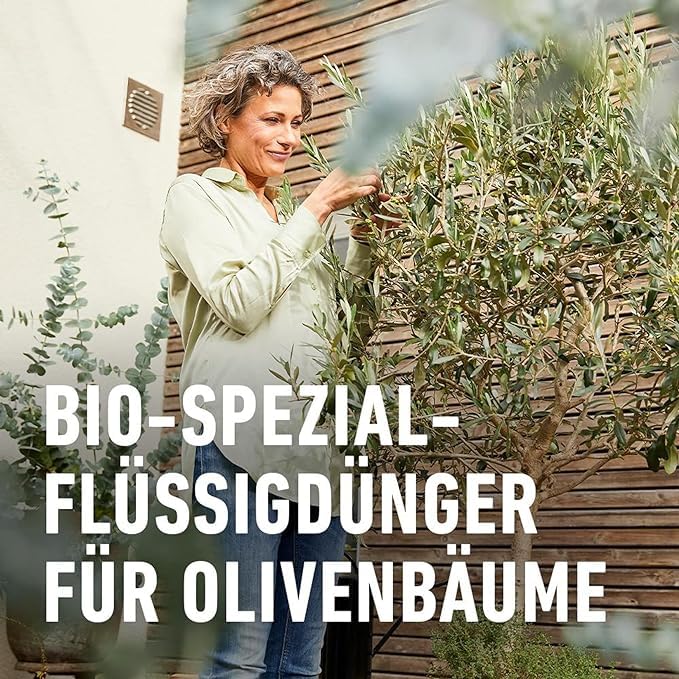 COMPO BIO Olivenbaumdünger – Olivenbäume düngen mit 100 Prozent natürlichen Inhaltsstoffen – Spezial-Flüssigdünger – 500 ml