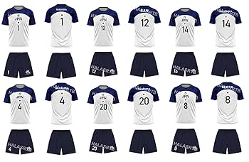 西田有志VNLユニフォーム オーセンティックシャツLサイズ アシックス（ASICS）（メンズ、レディース）バレーボールウェア