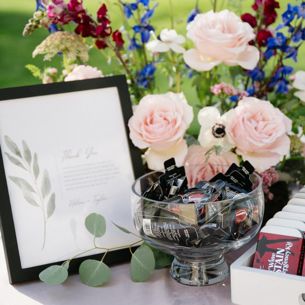 Wine Away Einweg-Reisepakete (10 Stück) Rotweinfleckenentferner – perfekt als Gastgeschenk für Hochzeiten, Duschen, Geburtstagsfeiern und Reisen – bleichfrei