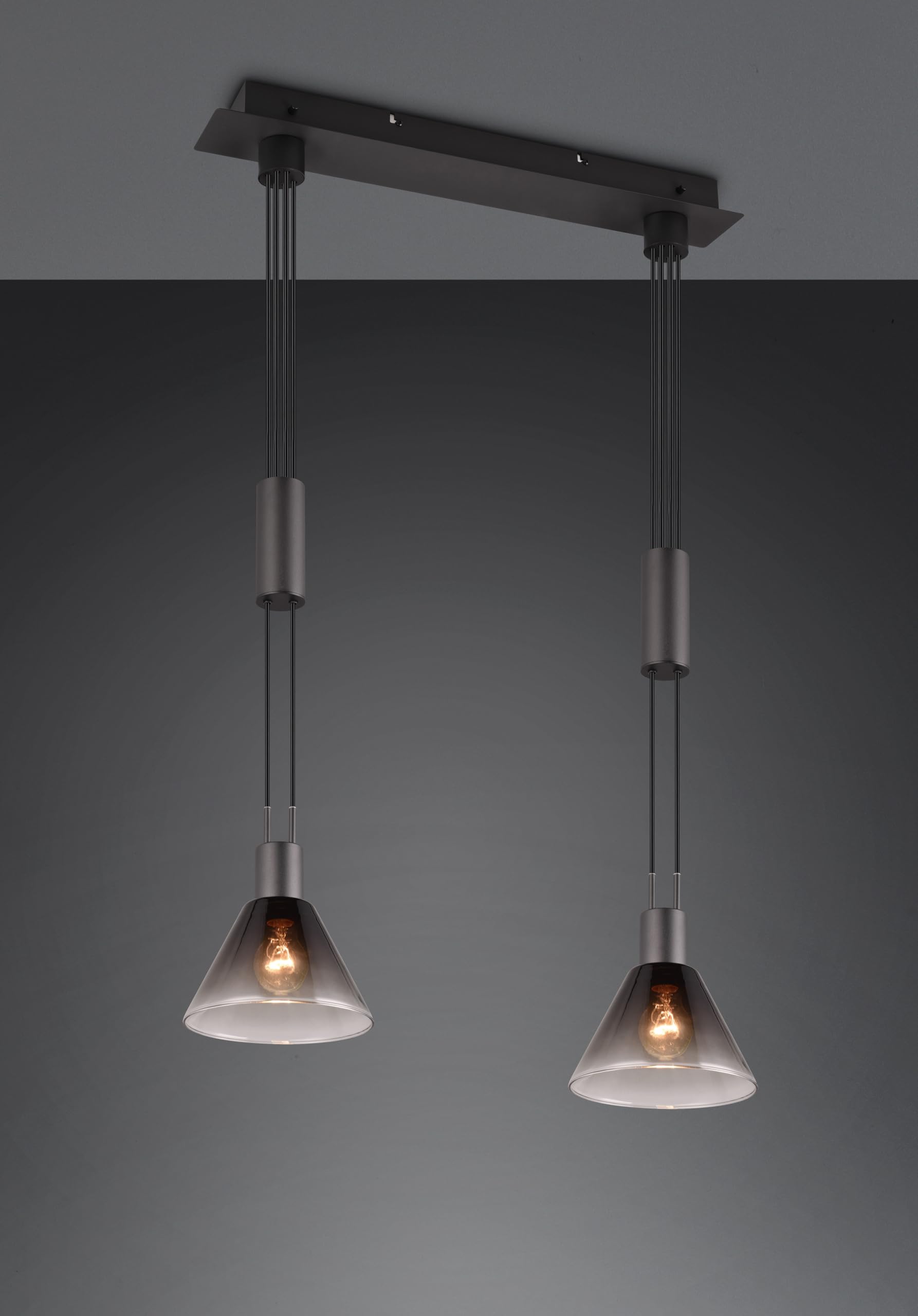 Trio Leuchten Pendelleuchte Stanley 319500232, Metall Schwarz matt, Glas rauchfarbig, exkl. 2x E27
