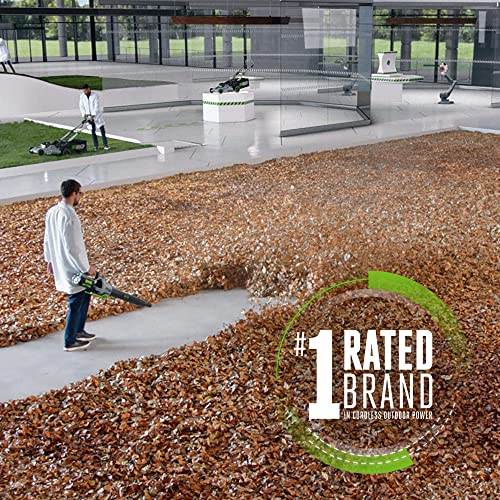 EGO Power+ LB6504 650 CFM Variable-Speed 56-Volt Lithium-ion Cordless Leaf Blower 5.0Ah Battery and Charger Included, Black