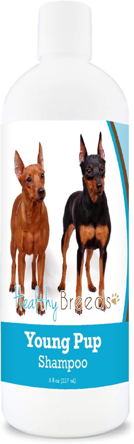 Healthy Breeds Miniature Pinscher Young Pup Shampoo 8 oz