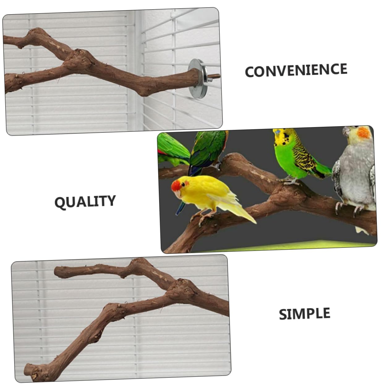 DOITOOL 3stücke Parrot Standing Bar Aus Naturholz Vogelspielzeug Für Käfige Kletterstange Für Papageien Wellensittiche Und Andere Vögel Einfache Installation Langlebig Und Stabil
