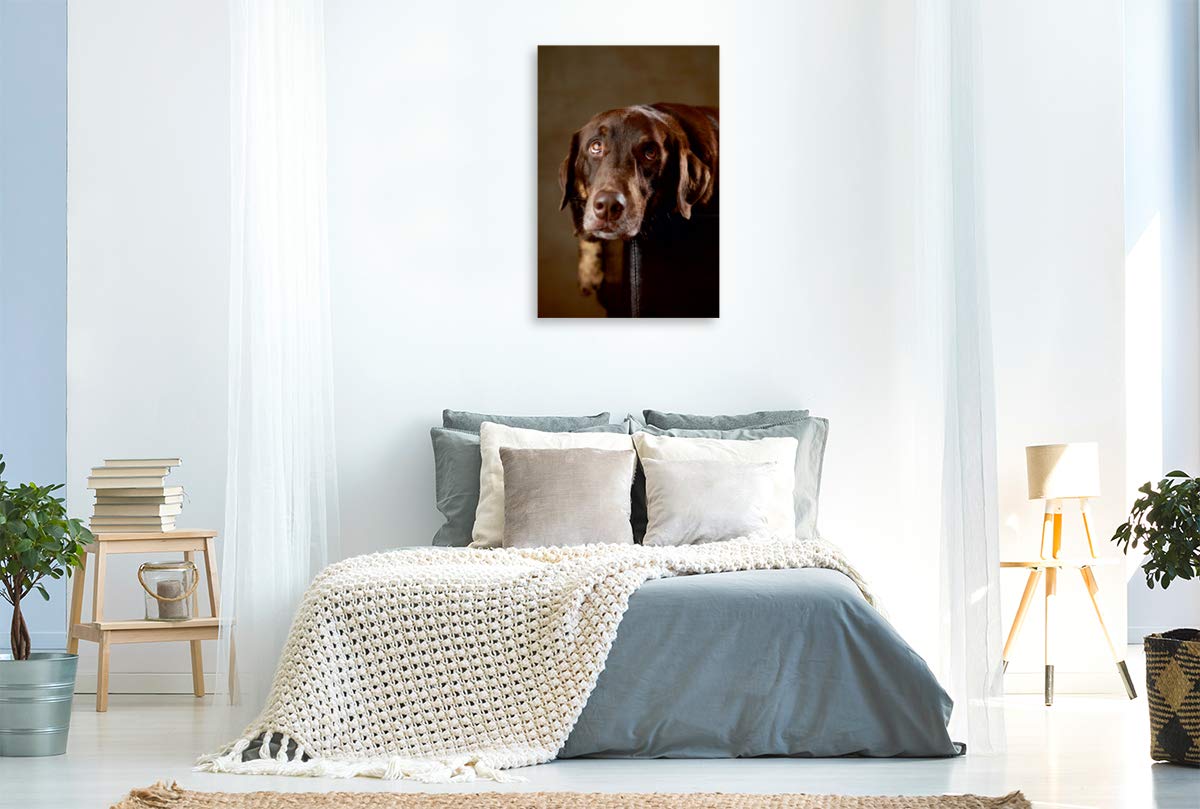 CALVENDO Simba - Labrador x Rottweiler-Mix, 4 Jahre