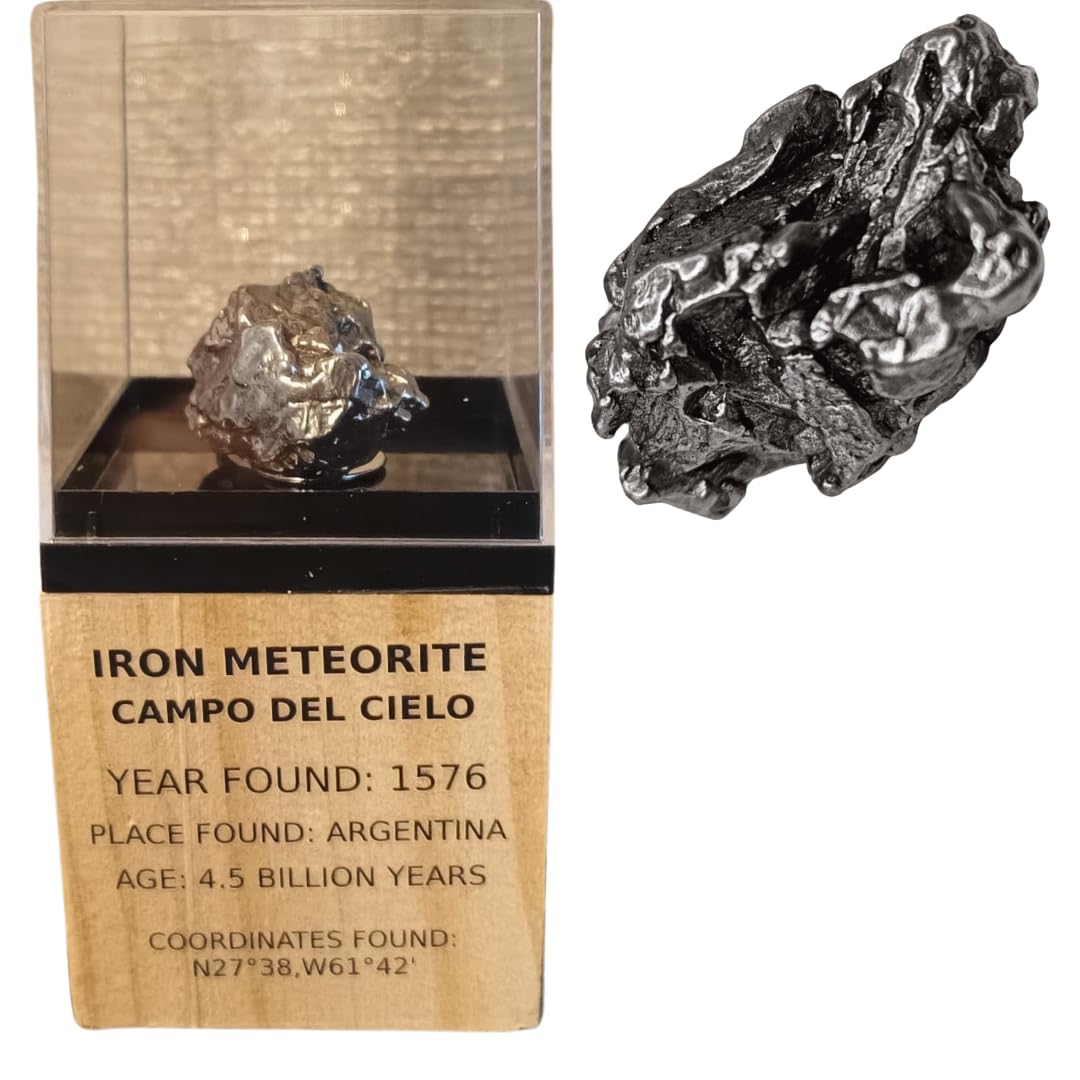 Meteorito Campo del Cielo – Meteorito de Hierro en Pantalla de Madera – Encontrado en 1576 – 4,5 mil millones de años – Regalo para coleccionistas & Aficionados al espacio