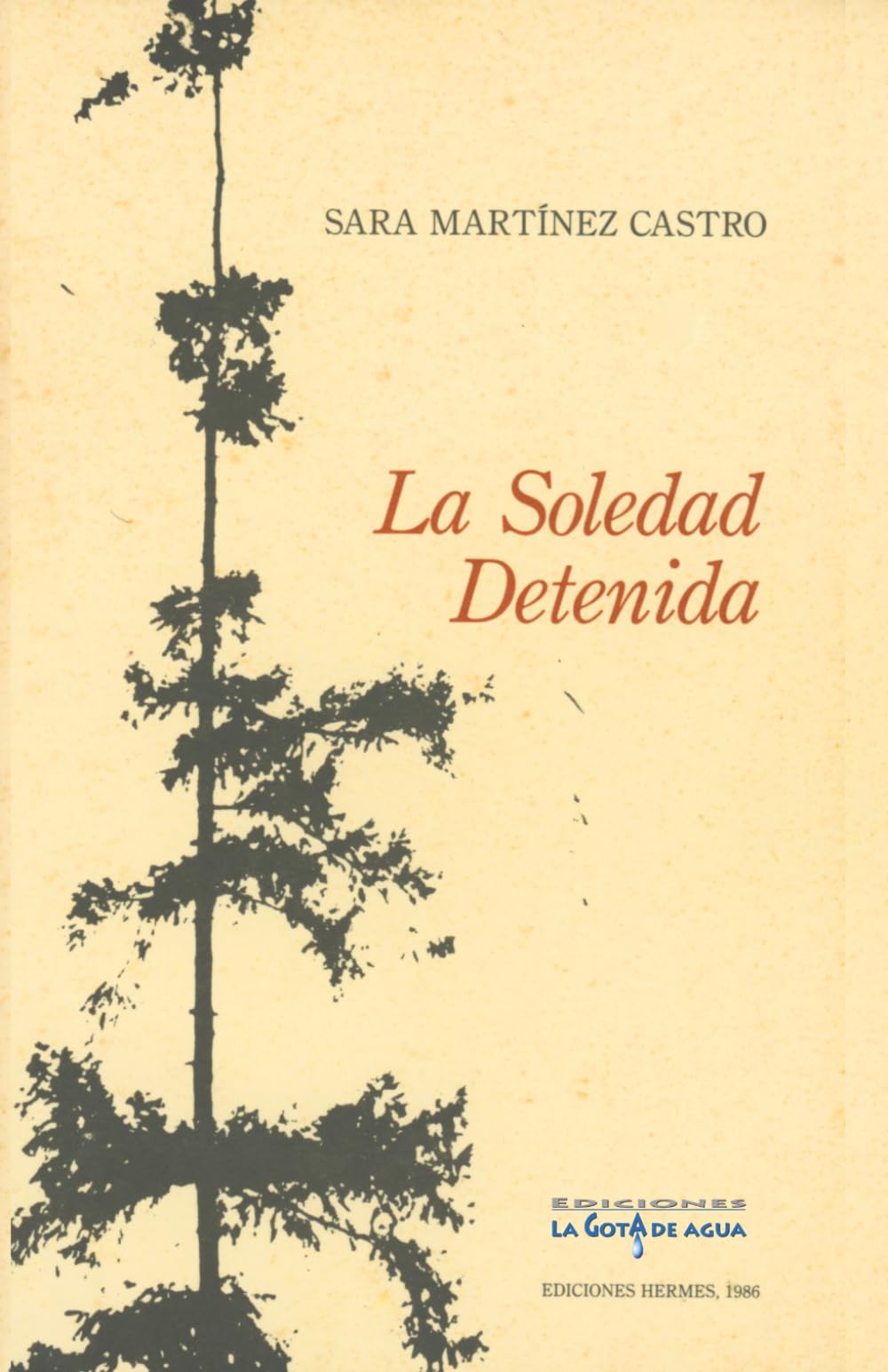 La soledad detenida