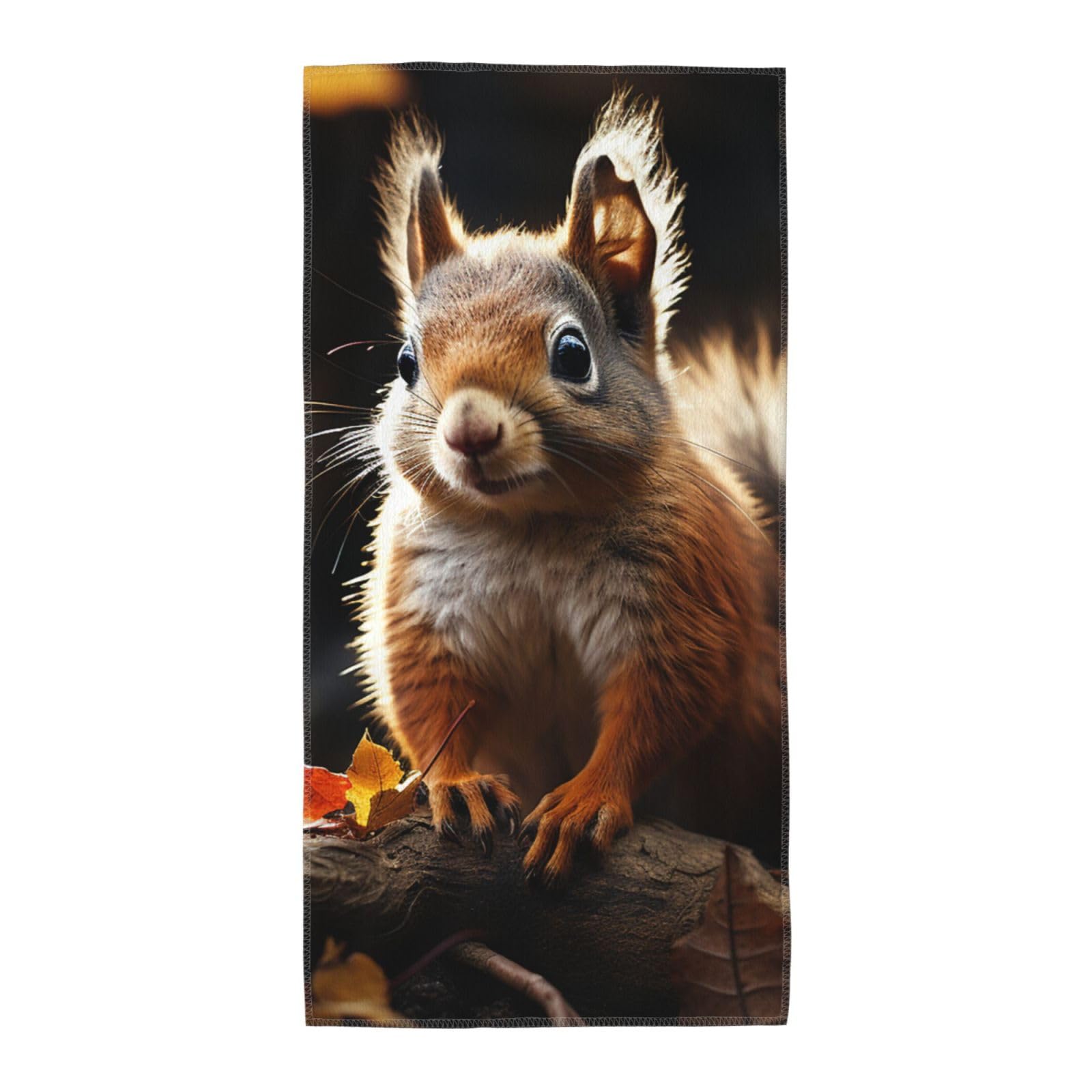 FodPand Microfiber Hand Towels for Bathroom, Soft Absorbent Decorative Face Towel Squirrel in The Woods Guest Bath Towel 12"X24" Kitchen Dish Towel for Bathroom Kitchen Hotel Gym Spa Towels