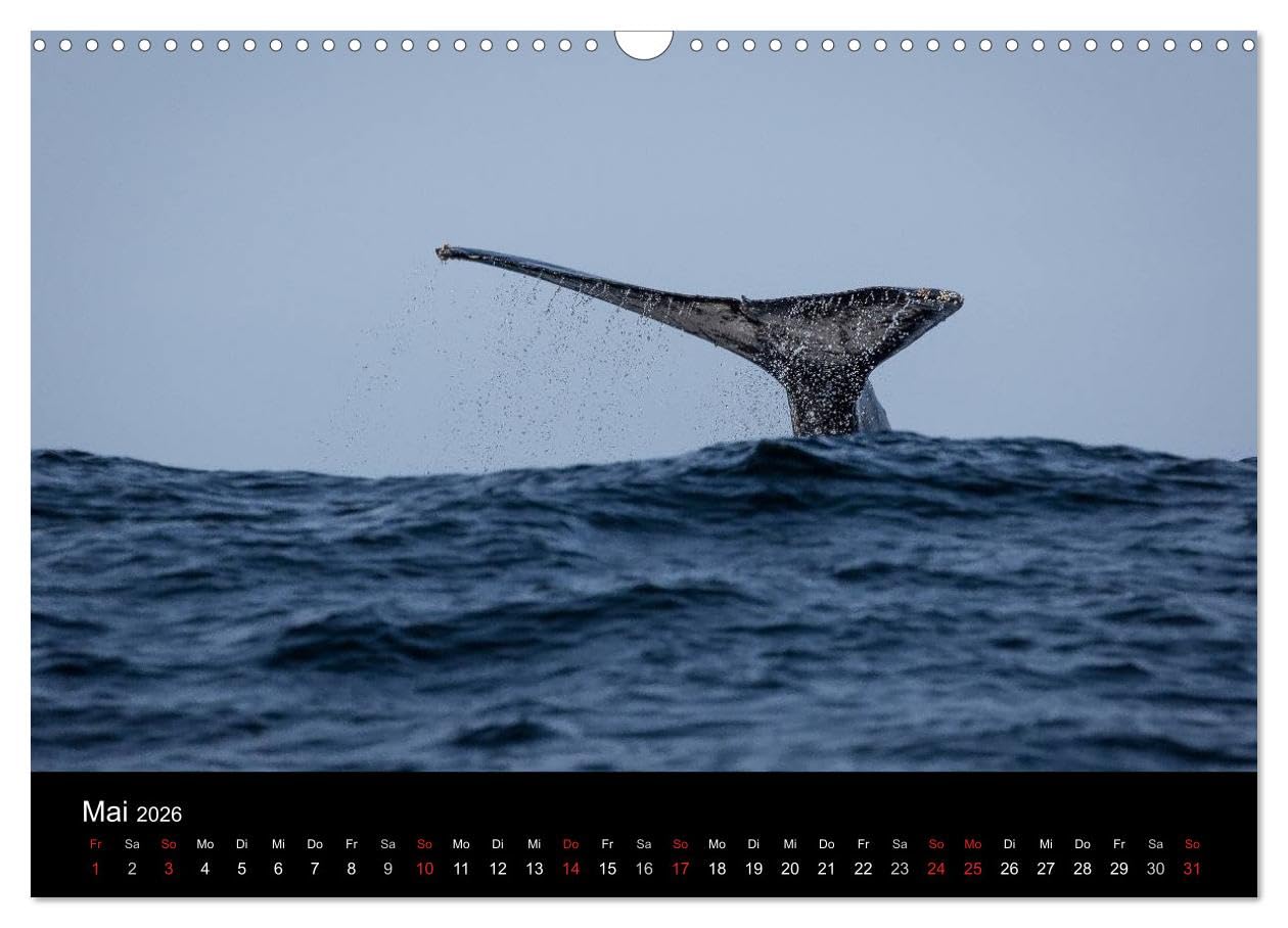 Wunderschönes Südafrika (Wandkalender 2026 DIN A3 quer), CALVENDO Monatskalender: Stimmungsvolle Aufnahmen aus dem wunderschönen Südafrika (CALVENDO Natur)