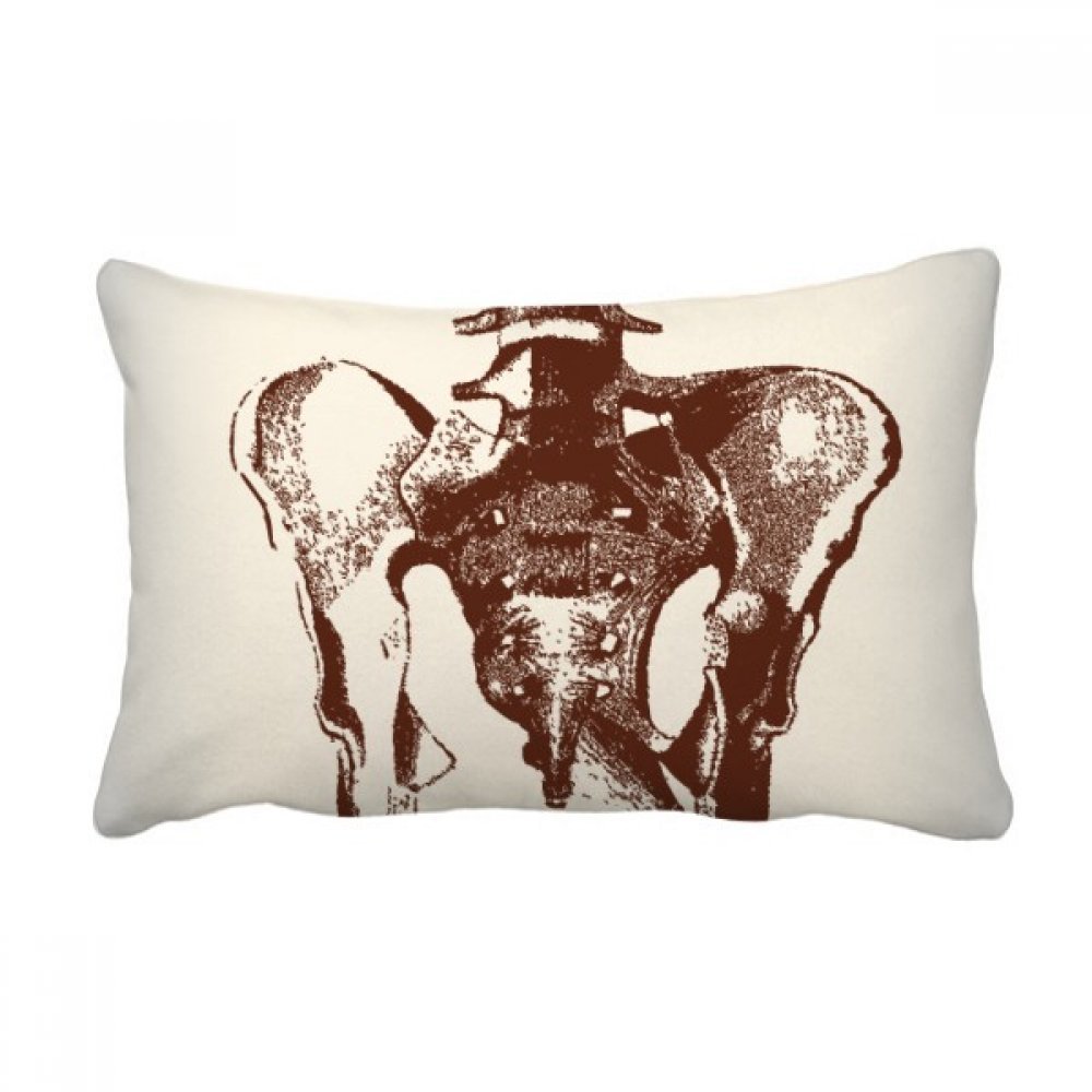 Coussin lombaire squelette humain pour soulager le dos et améliorer l'assise du canapé