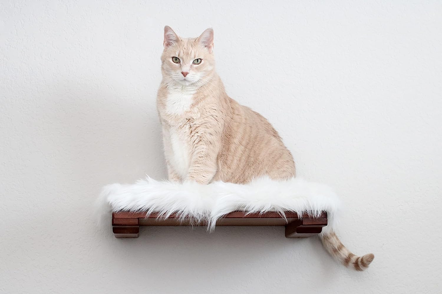 Catastrophic Creations Cat Shelf w/Cat Plush Bed — Standalone or Add-on Cat Wall Furniture — Bamboo Shelf for Indoor Cats — Wall Mounted Cat Furniture