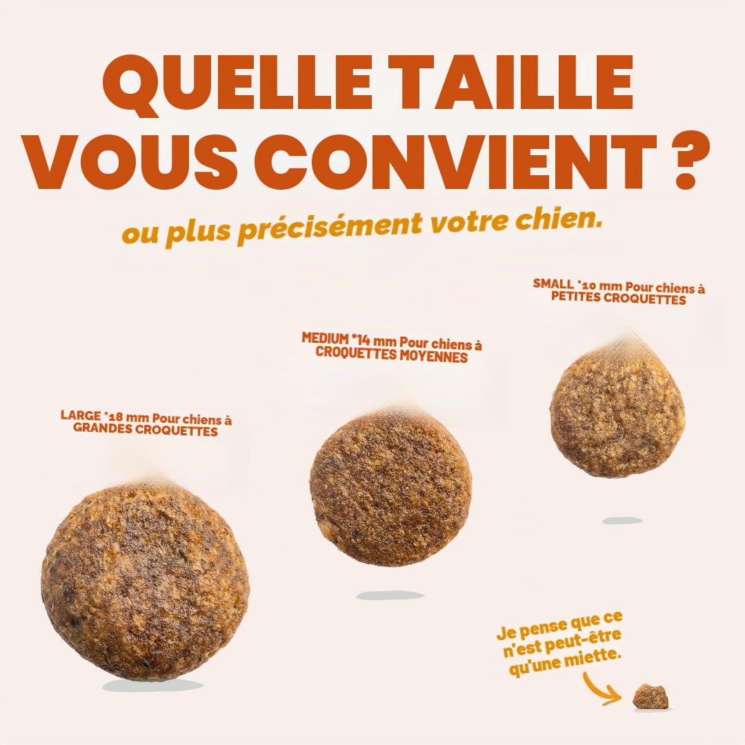 Edgard & Cooper Nourriture à base de plantes pour chiens adultes – Carotte et courgette, 7 kg – Fabriquée avec délicieusement Ella, protéines végétaliennes, ingrédients naturels et sans OGM, meilleure