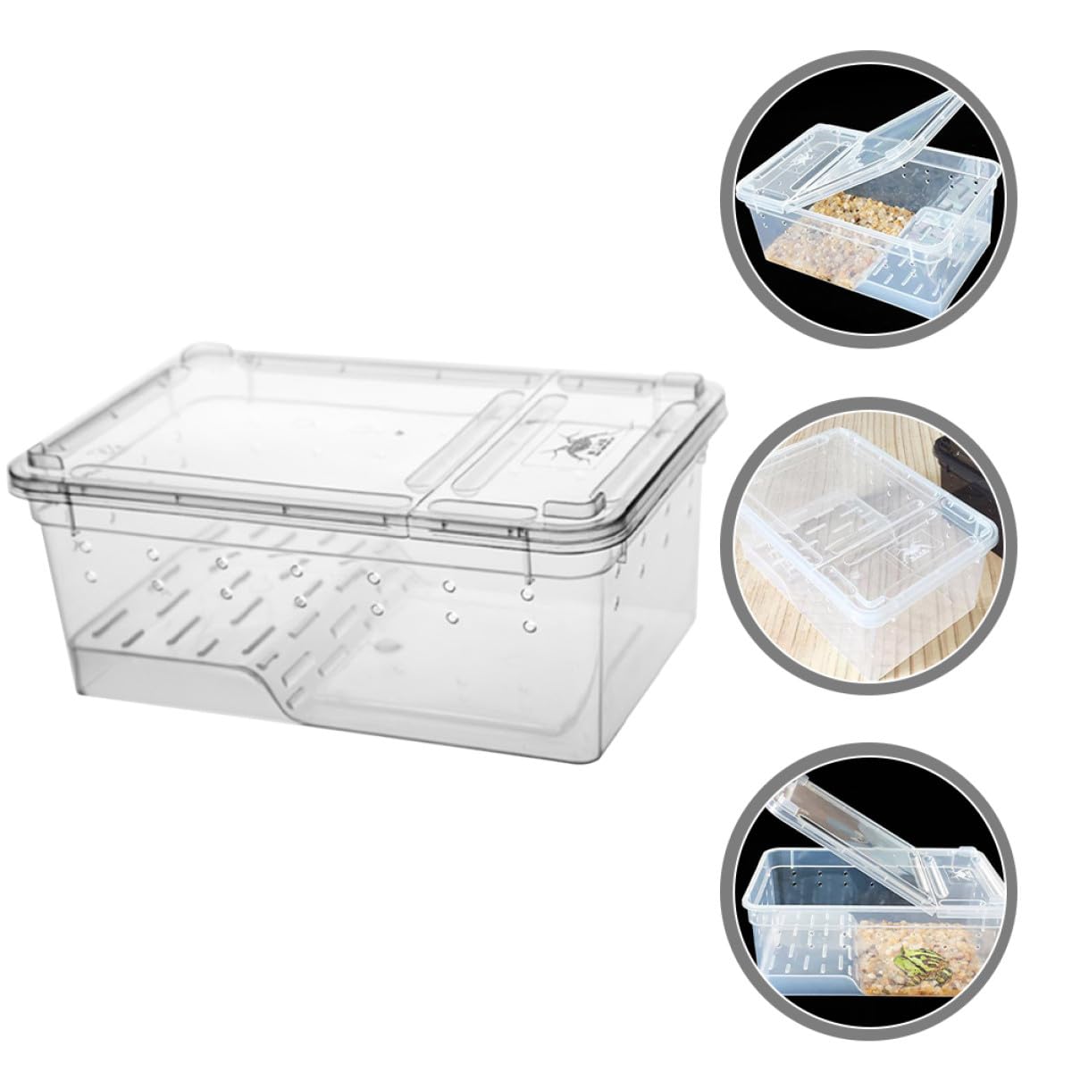 ifundom Acquario per Tartarughe e Rettili con Piattaforma per Crogiolarsi, Vaschetta in Plastico con Area Riposo e Alimentazione, per Osservazione e Habitat Terrestre