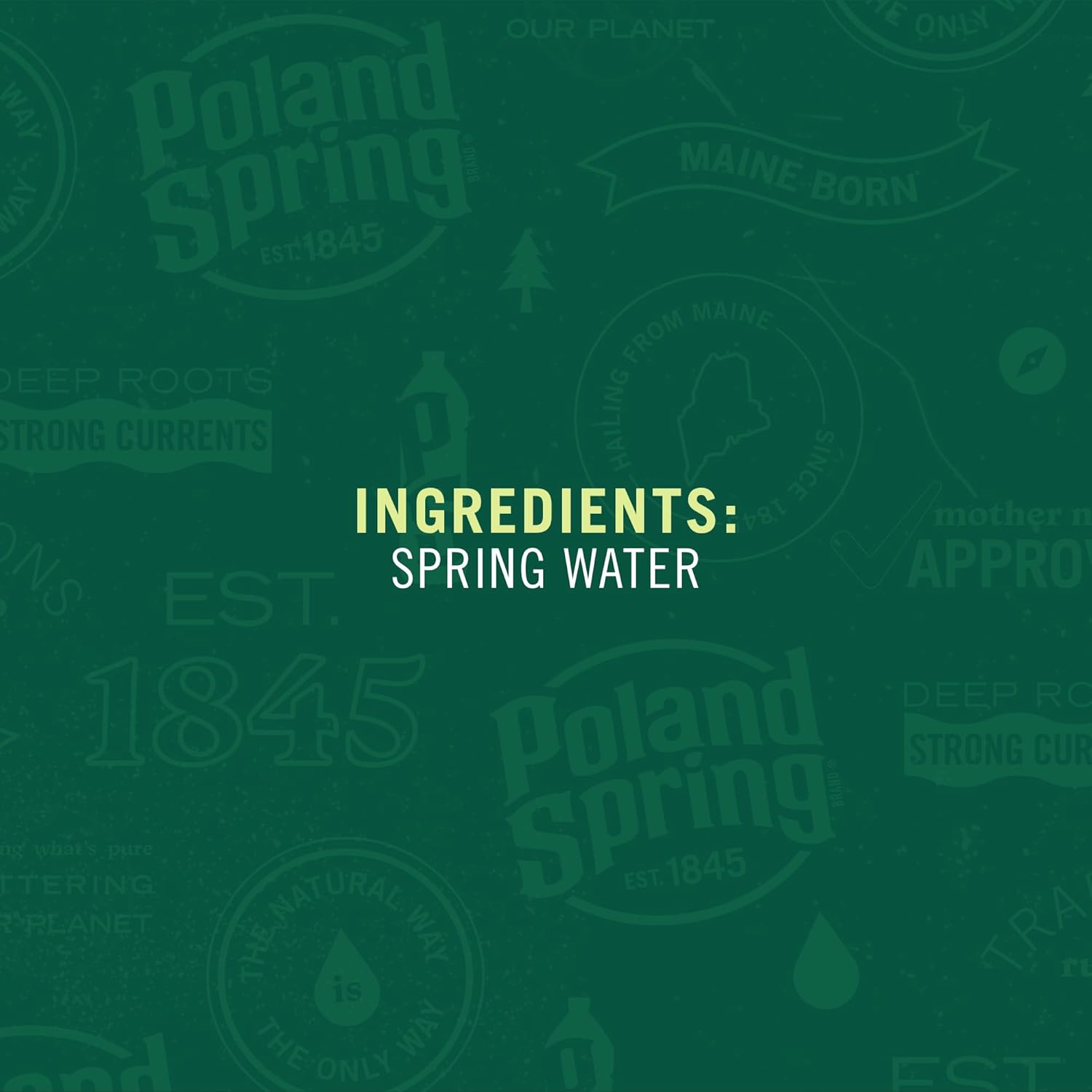 Poland Spring Maine Spring Water Bottles, 33.8 Fl Oz – Still Bottled Water with Naturally Occurring Minerals for Taste